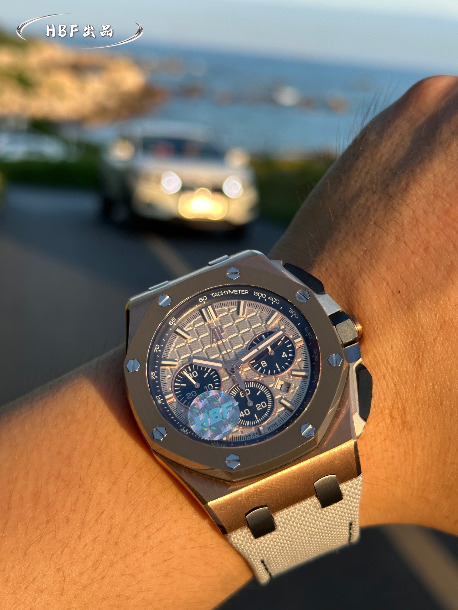 Audemars Piguet watch